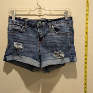 Celebrity Pink Blue Distressed Jean Shorts Size 3/26